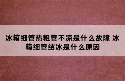 冰箱细管热粗管不凉是什么故障 冰箱细管结冰是什么原因